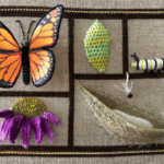 Butterfly Curio Box